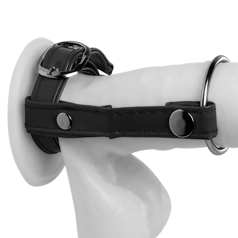 Detalhe do anel para p�nis e escroto em PU e Vinil preto, com fivela e anel de metal em close-up