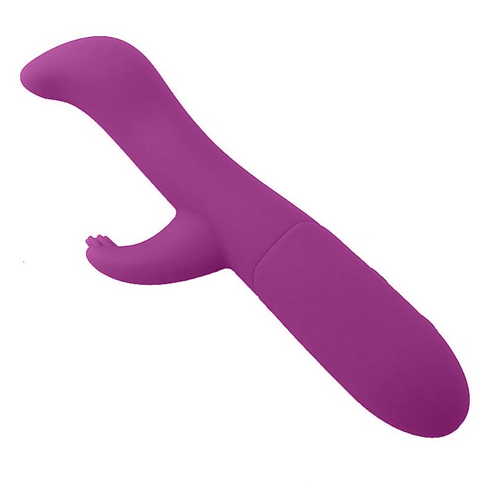 Vibrador Duplo em Silicone Recarreg�vel com 10 Vibra��es Laila Roxo - vista diagonal